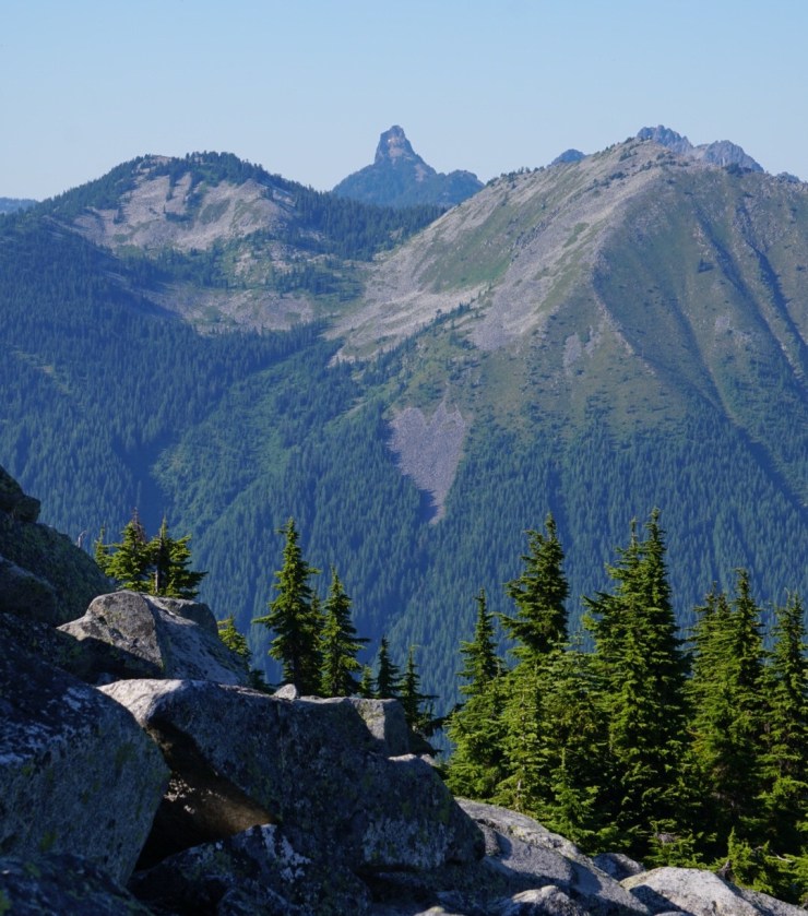 lrg_dsc01455.jpg