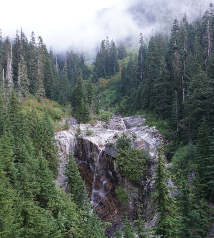 lrg_dsc03065.jpg