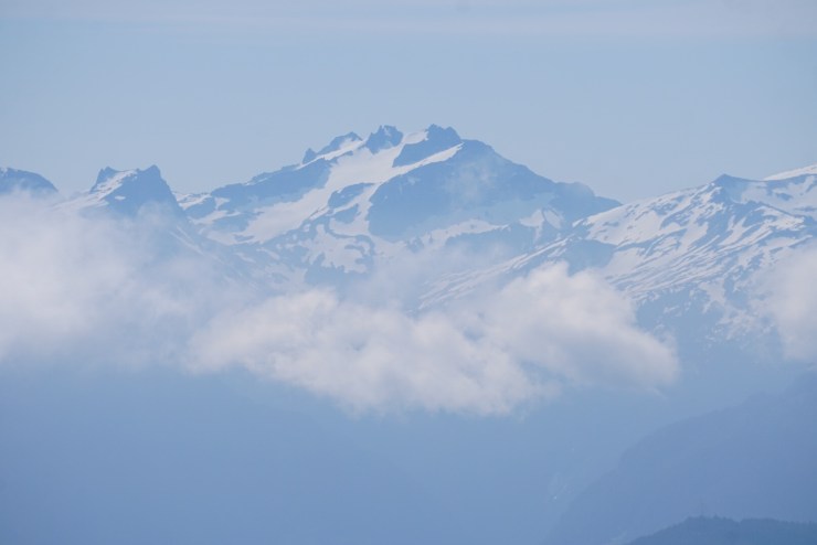 8242fb5e-ed8b-4d39-9db0-c939b30c42e9-1