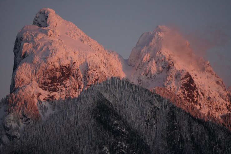 549d786c-e611-4117-bb28-af95b23bf992