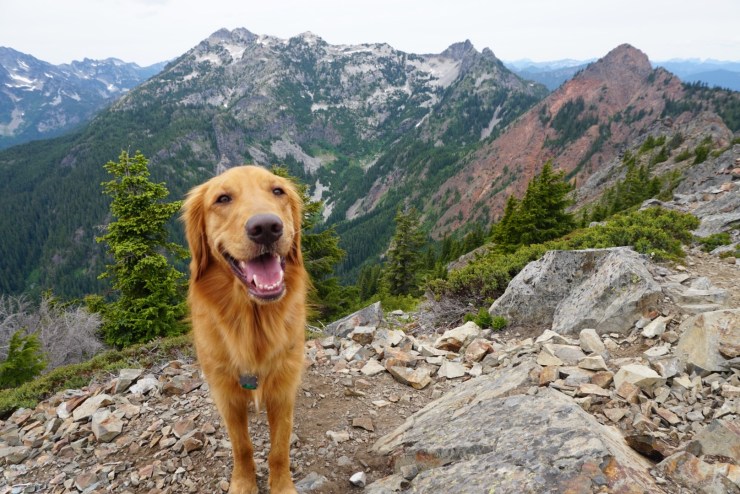 1b6dced5-c6f8-43e2-afba-e9ccbdfda776